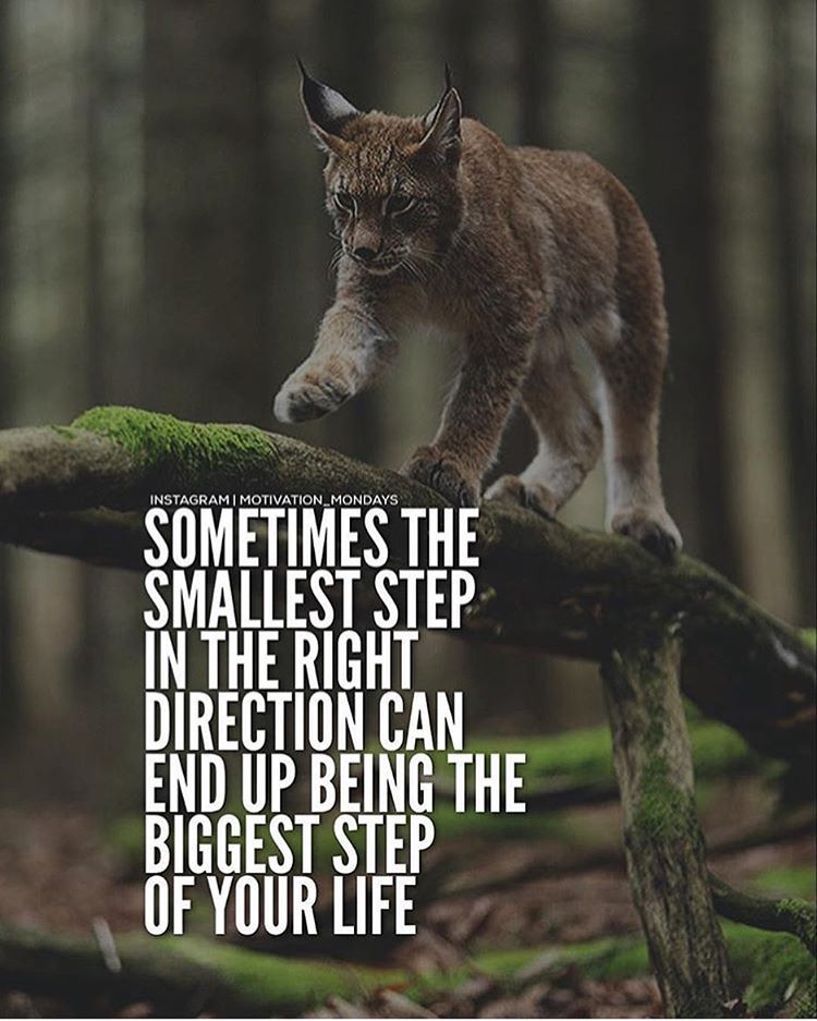 https://www.kabulalert.com/wp-content/uploads/2020/12/Inspirational-Quotes-88.jpg