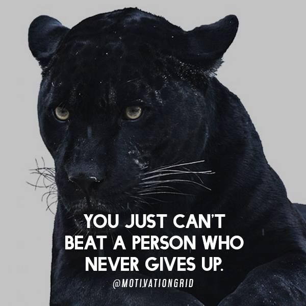 https://www.kabulalert.com/wp-content/uploads/2020/12/Inspirational-Quotes-99.jpg