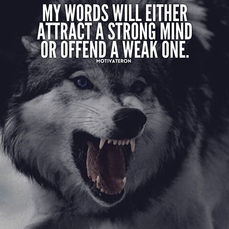 https://www.kabulalert.com/wp-content/uploads/2020/12/Inspirational-Quotes-167.jpg