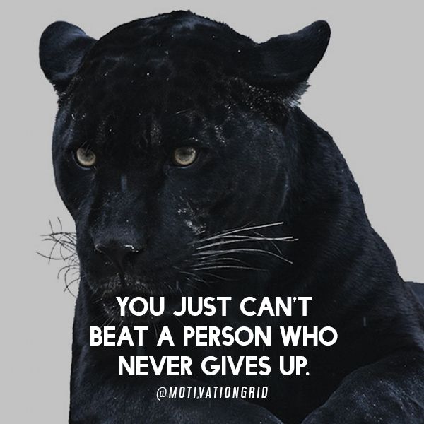 https://www.kabulalert.com/wp-content/uploads/2020/12/Inspirational-Quotes-299.jpg