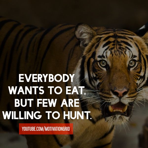https://www.kabulalert.com/wp-content/uploads/2020/12/Inspirational-Quotes-300.jpg