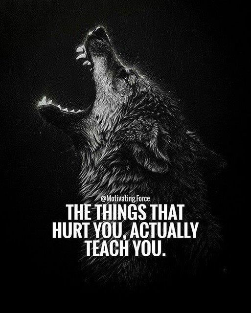https://www.kabulalert.com/wp-content/uploads/2020/12/Inspirational-Quotes-355.jpg