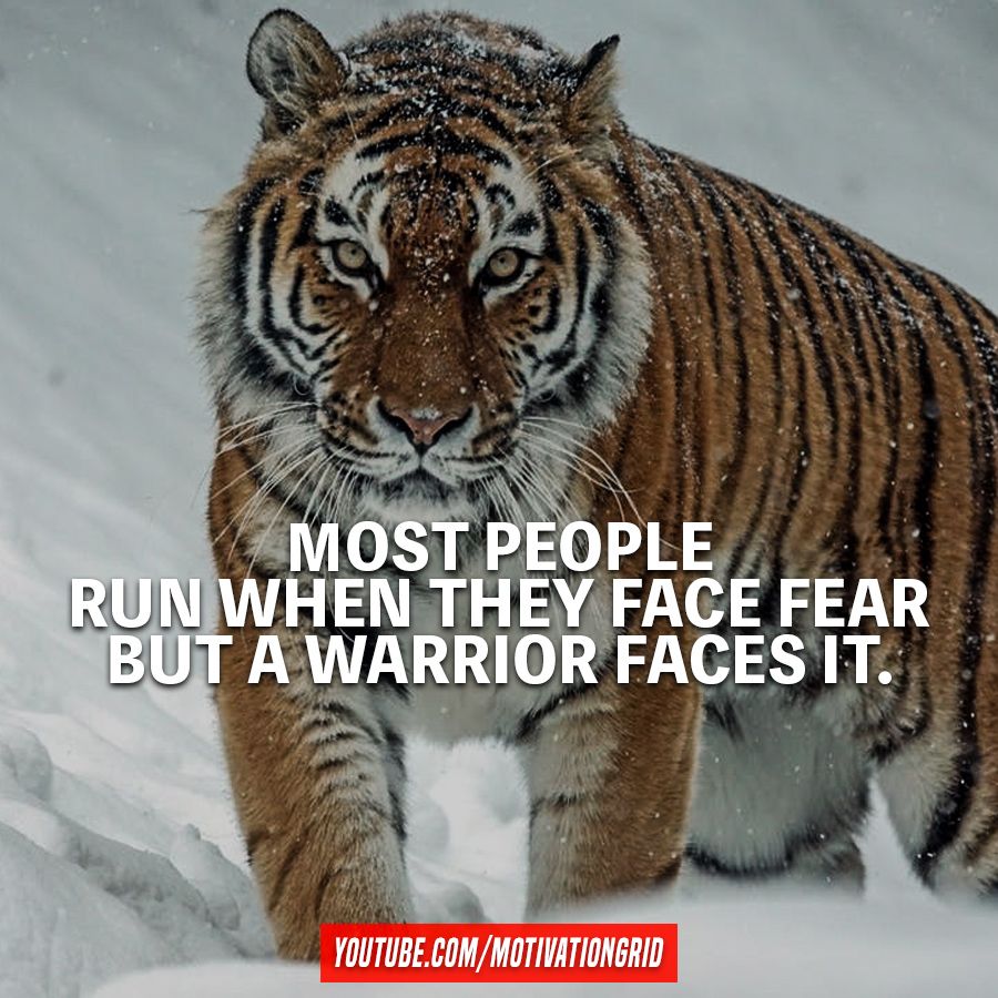 https://www.kabulalert.com/wp-content/uploads/2020/12/Inspirational-Quotes-745.jpg